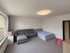 Pronájem bytu 1+1, Brno, Majdalenky, 52 m2