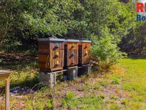 Prodej chaty, Bechyně, Větrov, 35 m2
