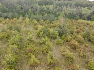 Prodej sadu/vinice, Dobříň, 42877 m2
