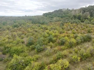 Prodej sadu/vinice, Dobříň, 42877 m2