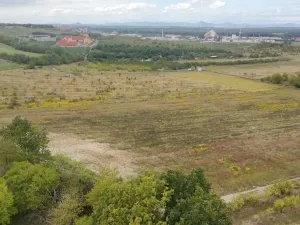 Prodej sadu/vinice, Dobříň, 42877 m2