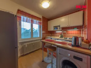 Prodej bytu 3+1, Havířov - Podlesí, Družstevnická, 63 m2