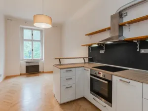 Pronájem bytu 2+kk, Praha - Smíchov, Holečkova, 38 m2