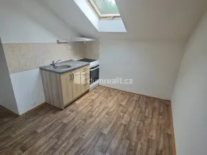 Pronájem bytu 1+1, Děčín - Děčín X-Bělá, Družstevní, 33 m2