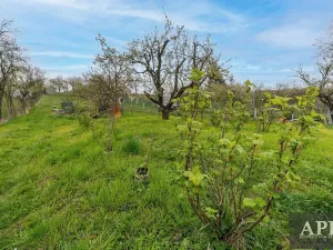 Prodej rodinného domu, Boršice u Blatnice, 105 m2