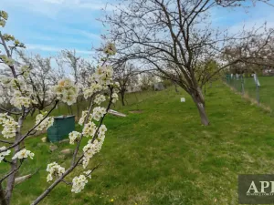 Prodej rodinného domu, Boršice u Blatnice, 105 m2