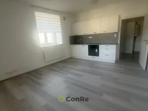 Pronájem bytu 1+kk, Mnichovo Hradiště, Havlíčkova, 31 m2
