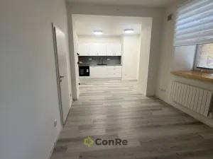 Pronájem bytu 1+kk, Mnichovo Hradiště, Havlíčkova, 33 m2