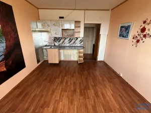 Pronájem bytu 1+kk, Chodov, Čapkova, 21 m2