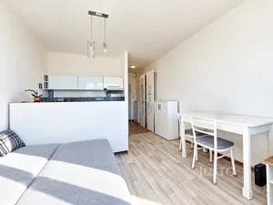 Prodej bytu 1+kk, Ústí nad Labem - Ústí nad Labem-centrum, SNP, 20 m2