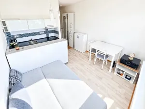 Prodej bytu 1+kk, Ústí nad Labem - Ústí nad Labem-centrum, SNP, 20 m2
