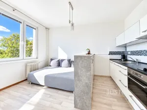 Prodej bytu 1+kk, Ústí nad Labem - Ústí nad Labem-centrum, SNP, 20 m2