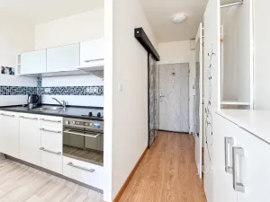 Prodej bytu 1+kk, Ústí nad Labem - Ústí nad Labem-centrum, SNP, 20 m2