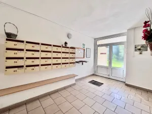 Prodej bytu 1+kk, Ústí nad Labem - Ústí nad Labem-centrum, SNP, 20 m2