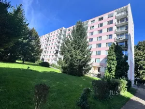 Prodej bytu 1+kk, Ústí nad Labem - Ústí nad Labem-centrum, SNP, 20 m2