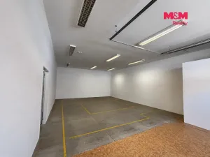 Pronájem obchodního prostoru, České Budějovice - České Budějovice 2, České Vrbné, 210 m2