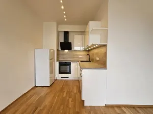 Pronájem bytu 2+kk, Praha - Holešovice, Argentinská, 60 m2