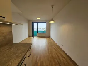 Pronájem bytu 2+kk, Praha - Holešovice, Argentinská, 60 m2
