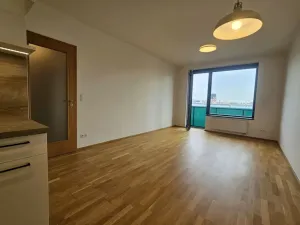 Pronájem bytu 2+kk, Praha - Holešovice, Argentinská, 60 m2
