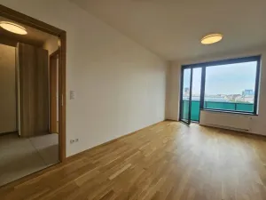 Pronájem bytu 2+kk, Praha - Holešovice, Argentinská, 60 m2