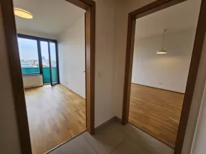 Pronájem bytu 2+kk, Praha - Holešovice, Argentinská, 60 m2