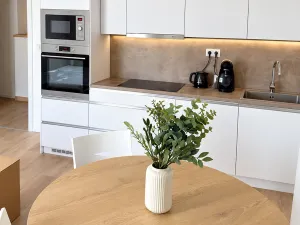 Pronájem bytu 1+kk, Brno, Auerswaldova, 32 m2