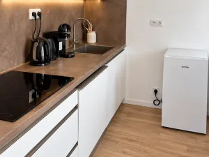 Pronájem bytu 1+kk, Brno, Auerswaldova, 32 m2