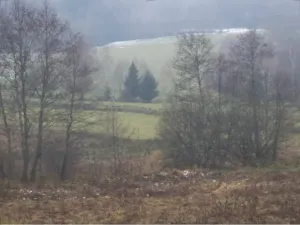 Dražba louky, Vyšší Brod, 919 m2
