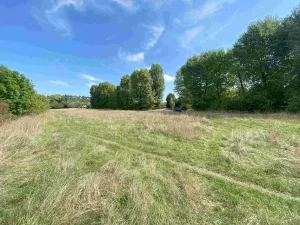Dražba louky, Všenory, 601 m2