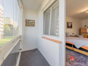 Prodej bytu 2+1, Mladá Boleslav - Mladá Boleslav II, Palackého, 63 m2