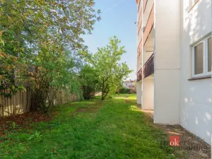 Prodej bytu 2+1, Mladá Boleslav - Mladá Boleslav II, Palackého, 63 m2
