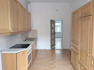 Pronájem bytu 1+1, Opava, Těšínská, 50 m2