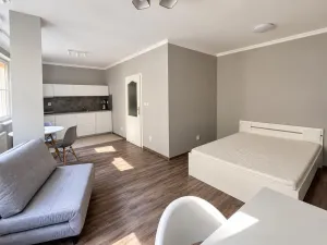 Prodej bytu 1+kk, Praha - Žižkov, Chelčického, 31 m2