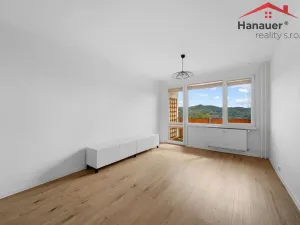Prodej bytu 2+1, Ústí nad Labem - Severní Terasa, Rabasova, 62 m2