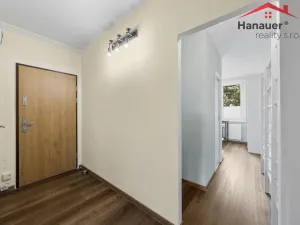 Prodej bytu 2+1, Ústí nad Labem - Severní Terasa, Rabasova, 62 m2