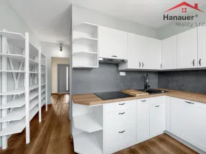 Prodej bytu 2+1, Ústí nad Labem - Severní Terasa, Rabasova, 62 m2