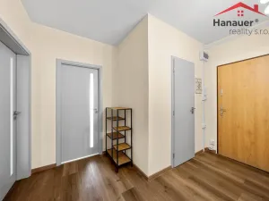 Prodej bytu 2+1, Ústí nad Labem - Severní Terasa, Rabasova, 62 m2