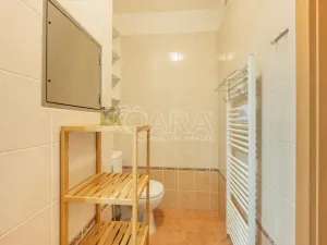 Pronájem bytu 1+kk, Praha - Štěrboholy, Andersenova, 38 m2