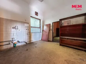Prodej obchodního prostoru, Nová Ves - Vepřek, 600 m2