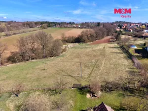 Prodej pozemku pro bydlení, Svojetín, 17686 m2