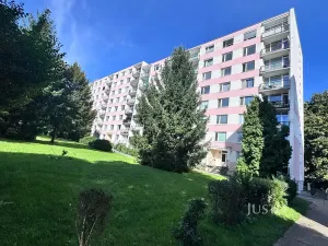 Prodej bytu 1+kk, Ústí nad Labem, SNP, 20 m2