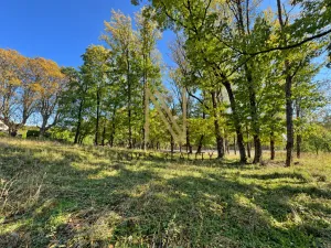 Prodej rodinného domu, Hazlov - Výhledy, 65 m2