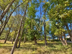 Prodej rodinného domu, Hazlov - Výhledy, 65 m2