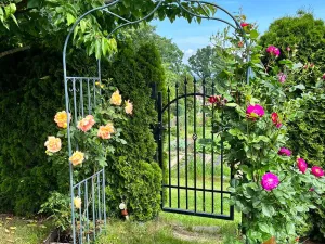 Prodej chaty, Chvaletice, 450 m2