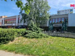 Pronájem skladu, Orlová - Lutyně, F. S. Tůmy, 9 m2