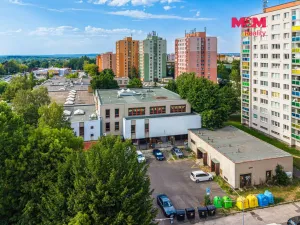 Pronájem obchodního prostoru, Orlová - Lutyně, F. S. Tůmy, 739 m2