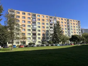 Pronájem bytu 1+kk, Chodov, Jiráskova, 21 m2