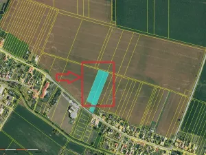 Prodej pole, Dyjákovičky, 7130 m2