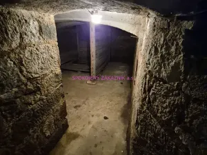 Prodej rodinného domu, Šluknov, 544 m2