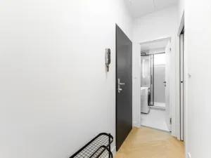 Prodej bytu 2+kk, Praha - Nové Město, Na zbořenci, 41 m2